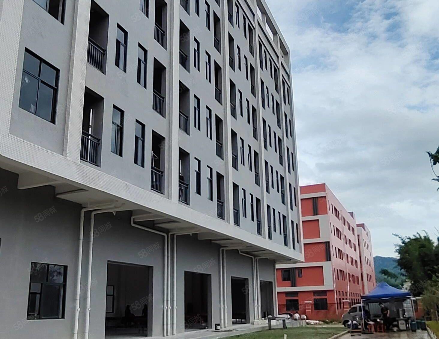 仲恺海关附近新出厂房一楼加楼上2400平方，可分租