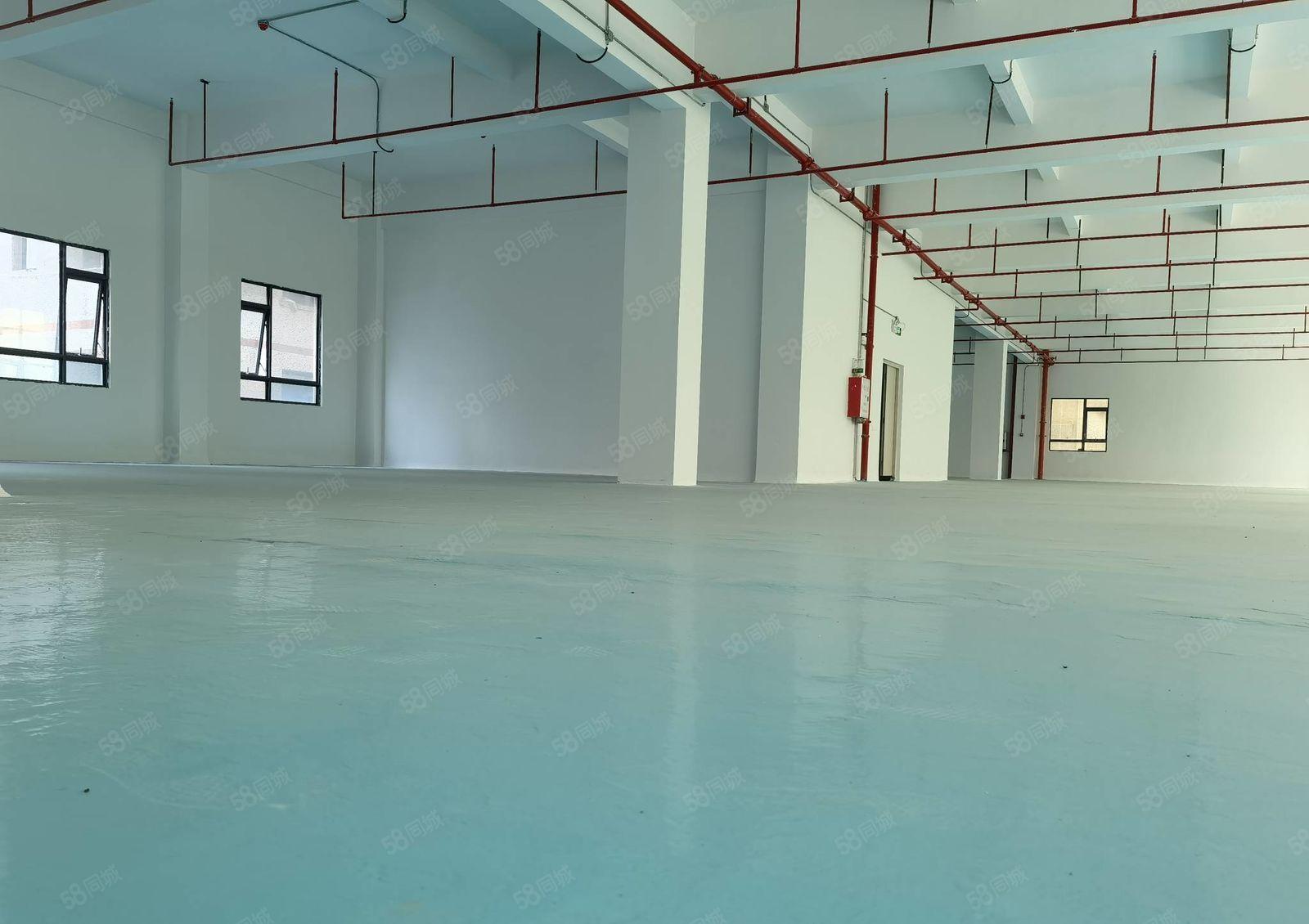 13元出租500平方起分租沥林村委厂房 证件齐全 可办环评