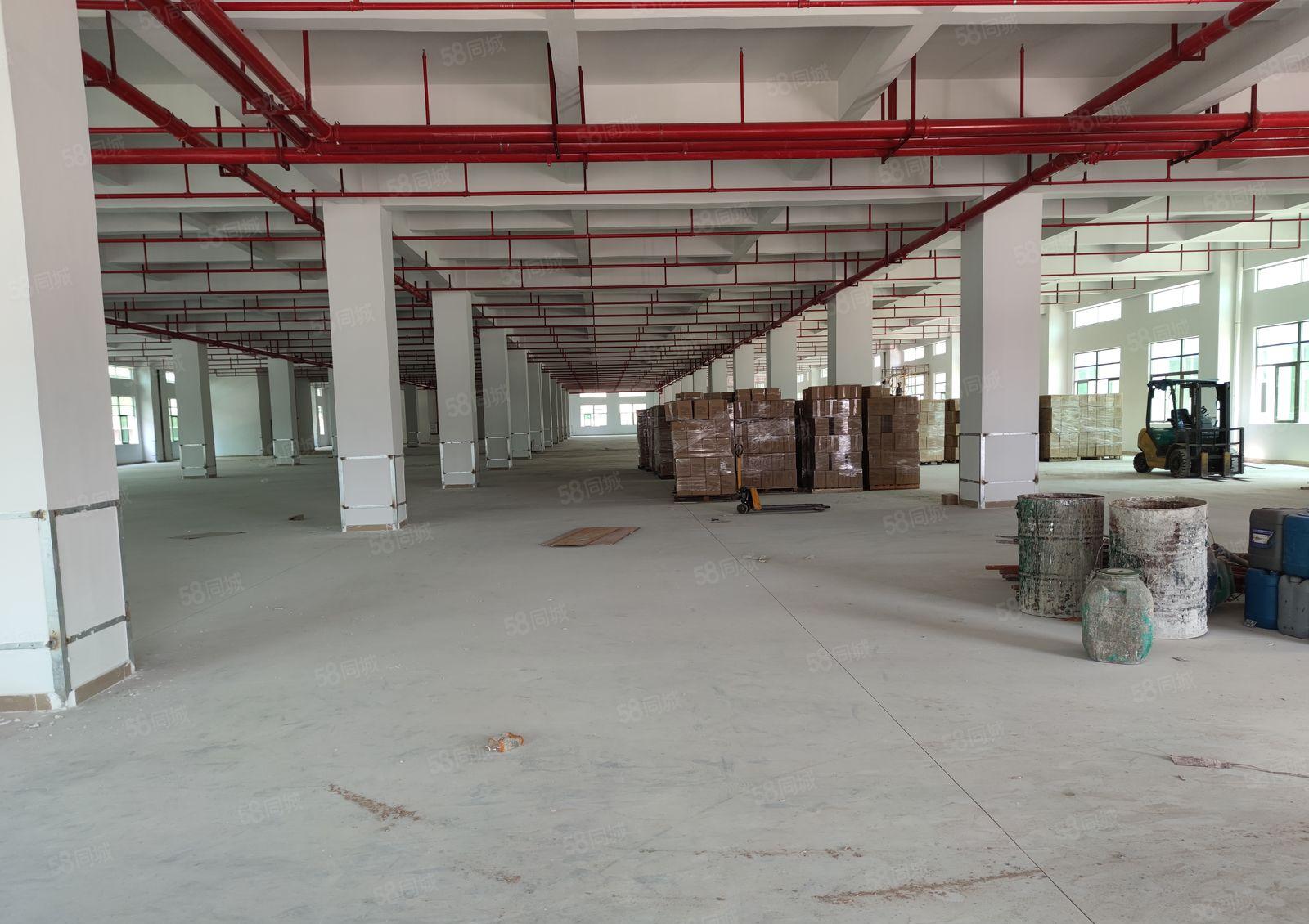 陈江新出独院厂房招租，证件齐全！适合各行业