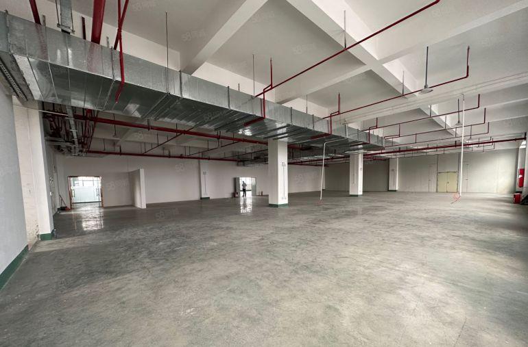 陈江五一新出原房东带装修厂房1000平方特价急租，厂房99新