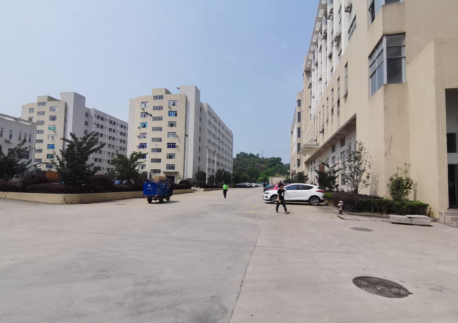 仲恺陈江平南工业区2000平一二楼厂房出租可分租仓库带环评