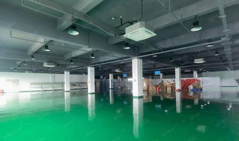 低价出租仲凯高新区独院厂房8860平方米精装修