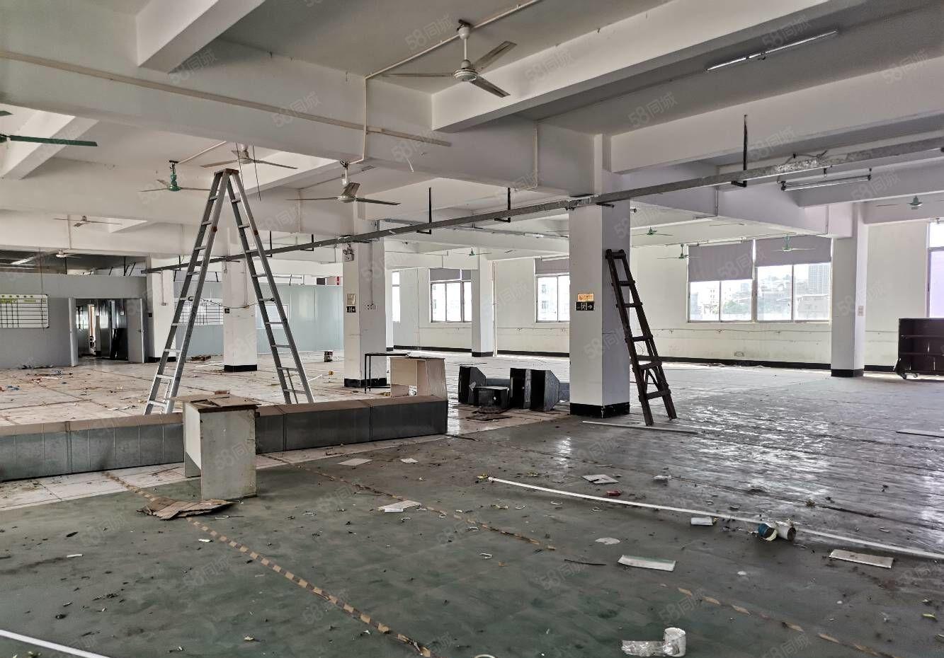 仲恺惠台工业9000平米独院，带红本的标准厂房出租