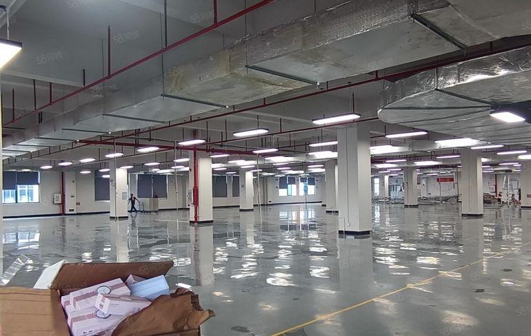 9元现成精装修低价红本厂房出租惠州仲恺高速口旁可办环评与执照