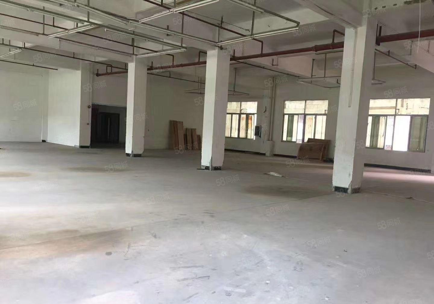 陈江惠环空出小独院2000平滴水8米原房东证件齐全可分组。