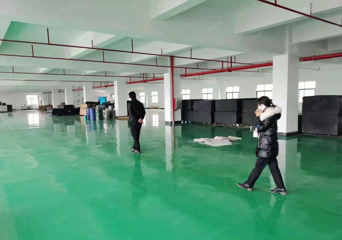 陈江独院圣帞高新材料厂6900平带装修高标准有环评原房东招租