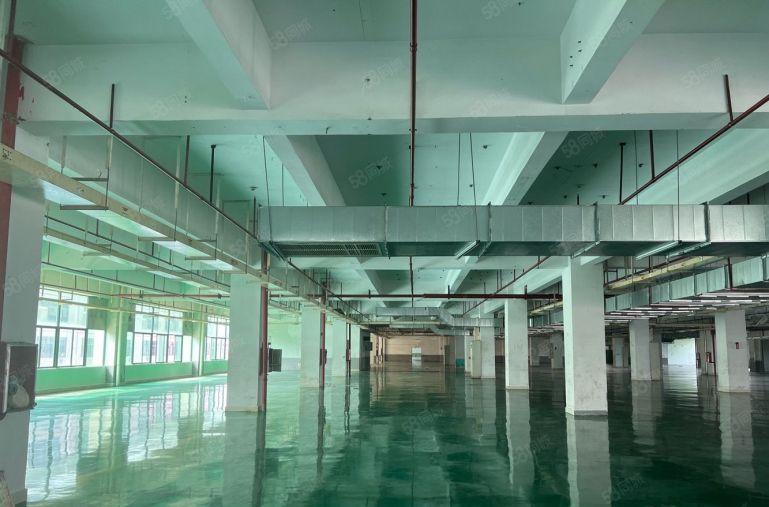 仲恺新出原房东9元精装修厂房仓库低价出租大小可分租水电齐全