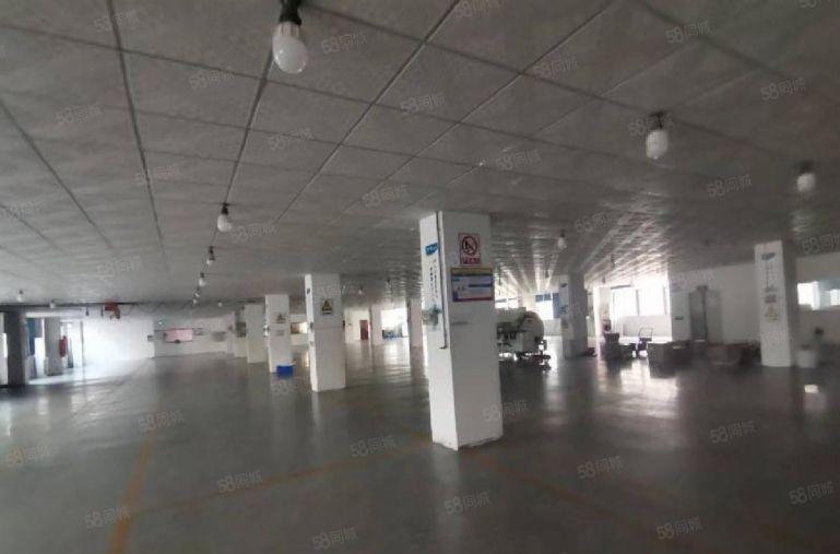 8块仲恺新出楼上精装修5200平厂房出租带办公室大小可分租