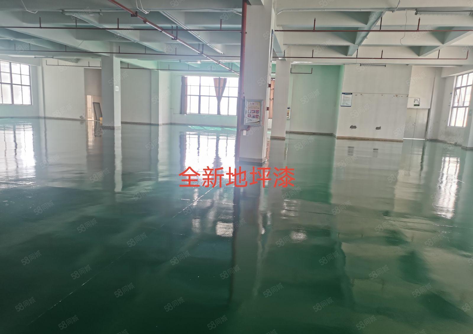 非中介！博罗现成装修红本厂房！原房东现场招商！