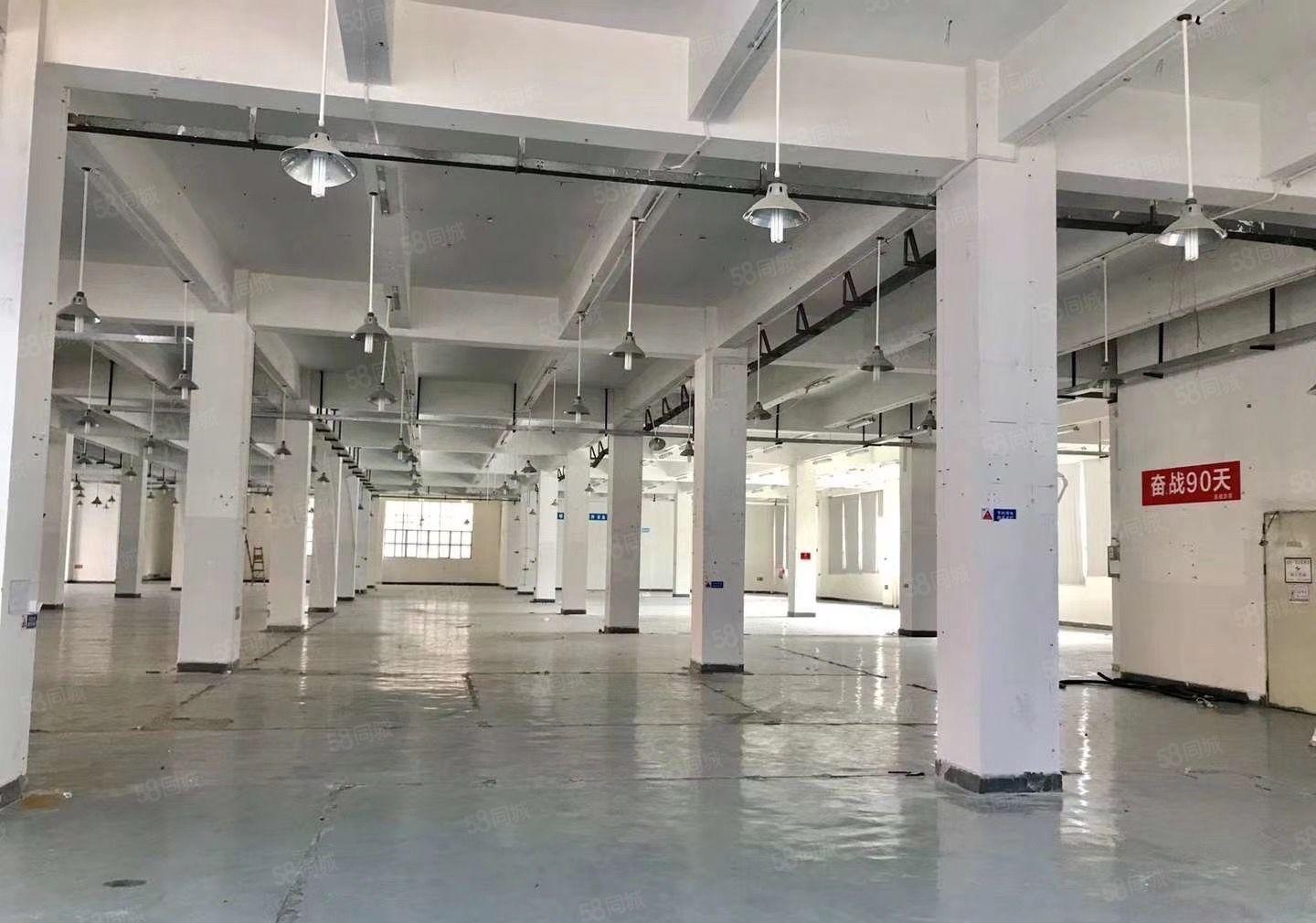 仲恺陈江原房东3000平一楼高6米500.厂房出租200起租