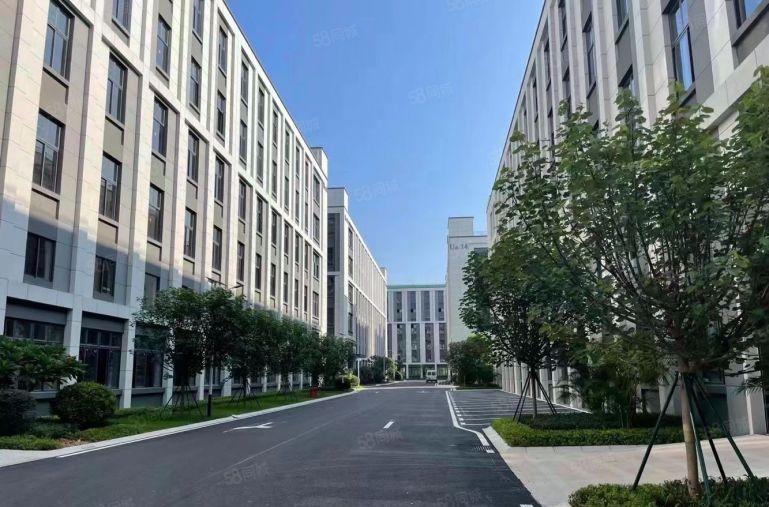 仲恺8元含税无公摊厂房开发商直租