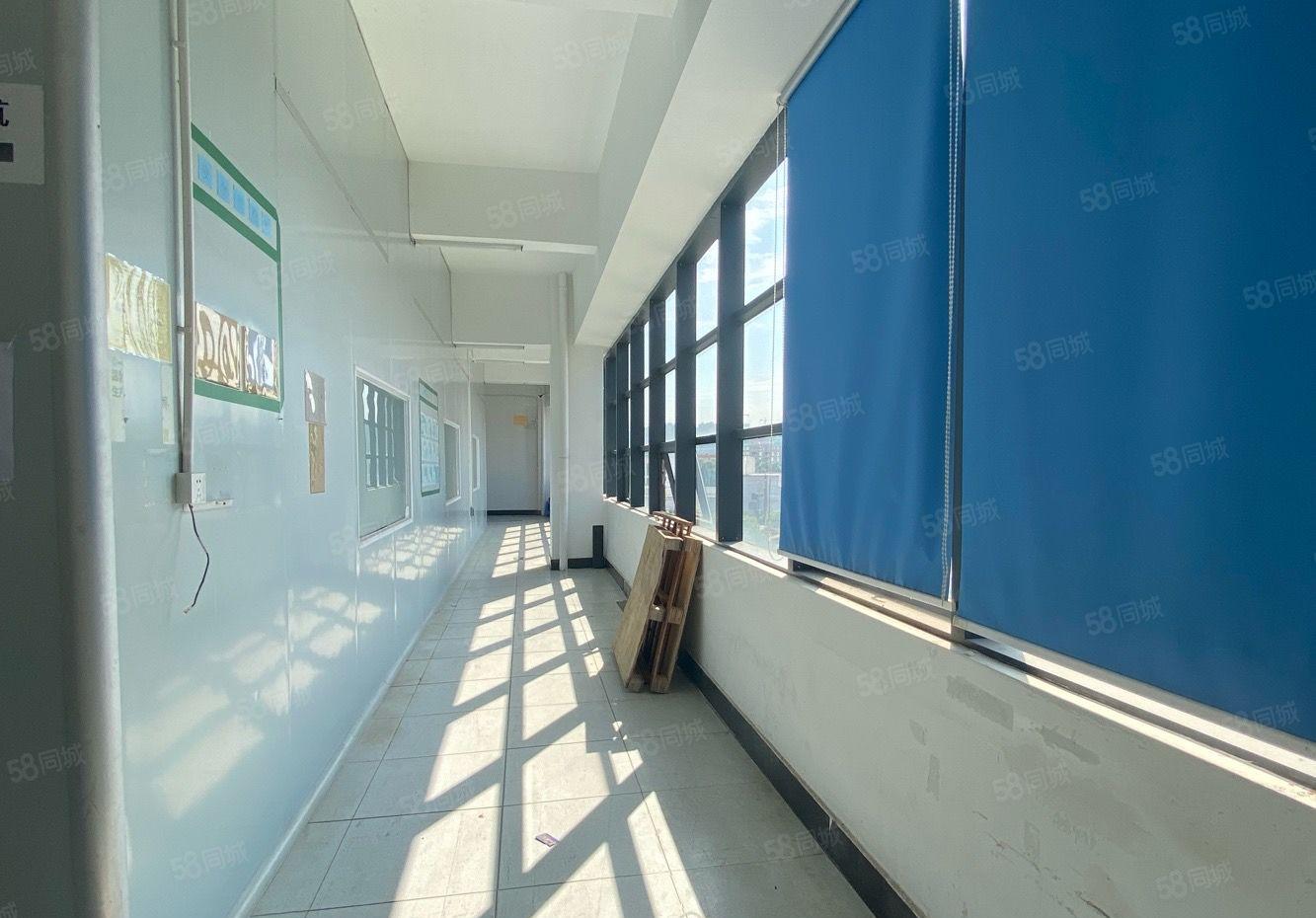 陈江五一带装修1080平带无尘装修厂房出租