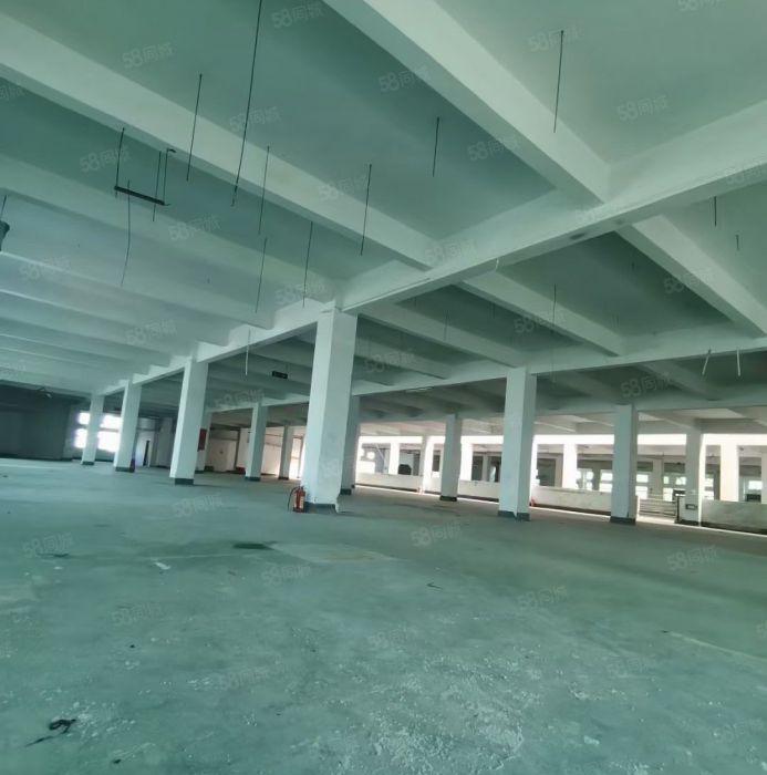 陈江超便宜价格7元厂房800平方起出租证件齐全