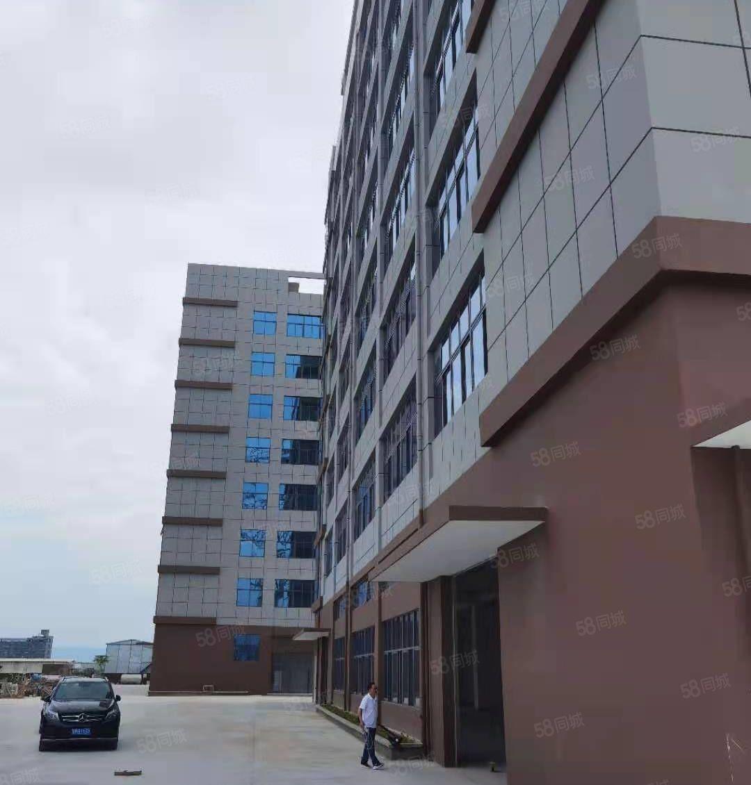 沥林信德盛工业园全新独院红本厂房12000平招租，500起租