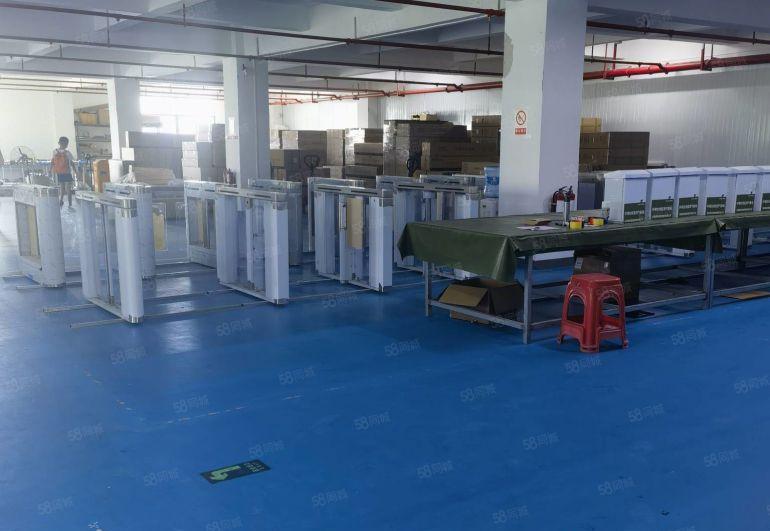 陈江五一工业区楼上1000平现成装修办公室厂房低价出租