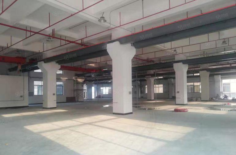 惠州仲恺高新区tcl总部旁全新工业厂房13万方招租