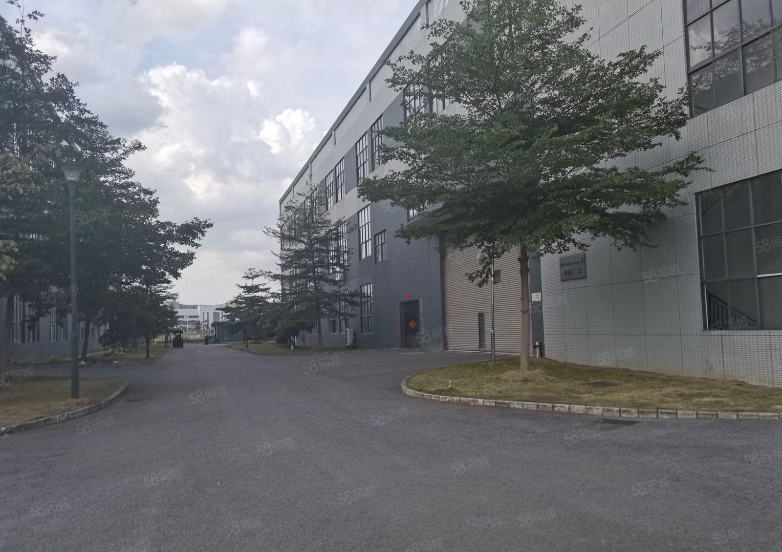 仲恺惠环TCL附近一楼2300平方9米高带航车标准厂房无公摊