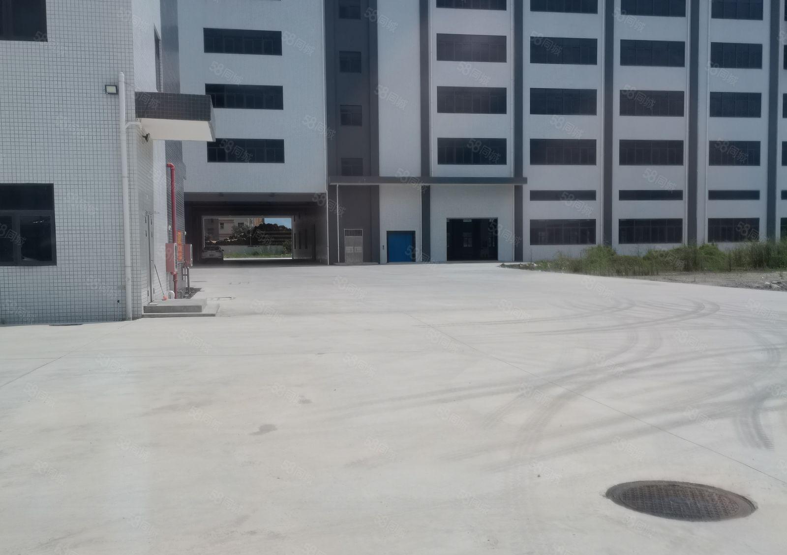 仲恺高新科技园全新12000平米厂房仓库出租可办环评大小分租