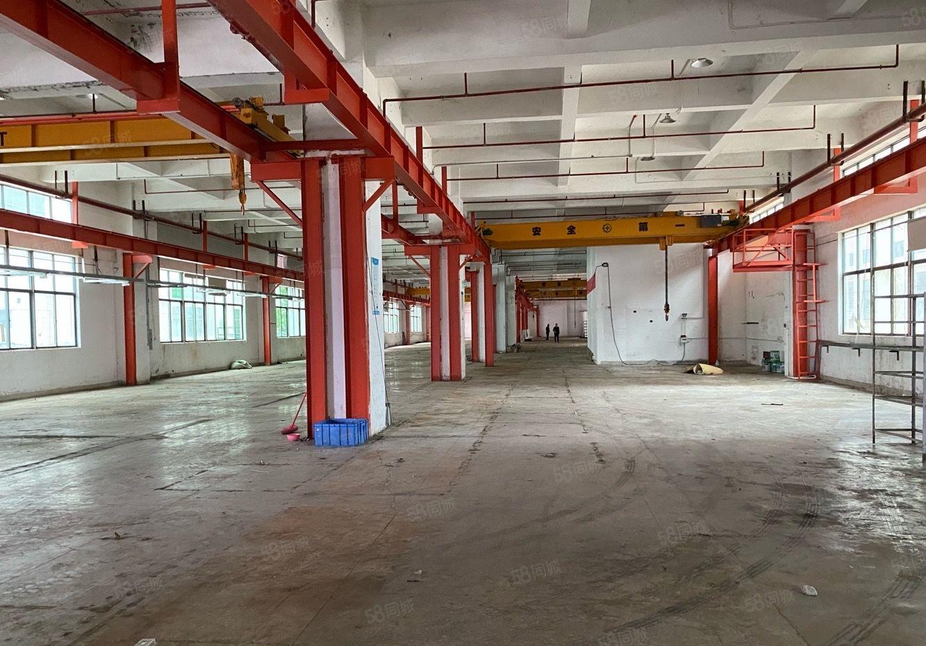 仲恺高新区陈江五一工业区TCL旁1500平带装修厂房出租