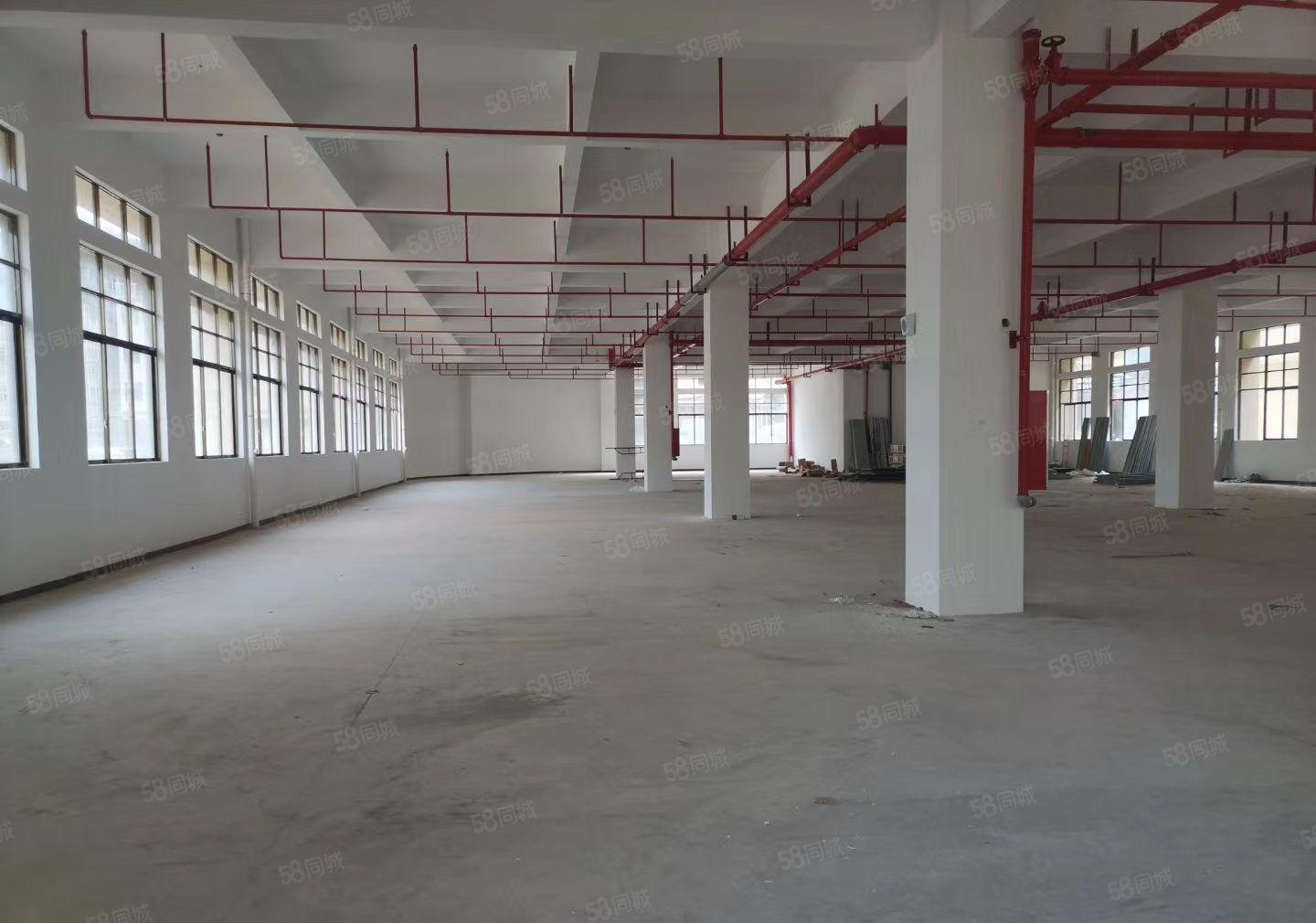 陈江大欣集团一楼标准厂房2000平招租可分租带红本可办环评