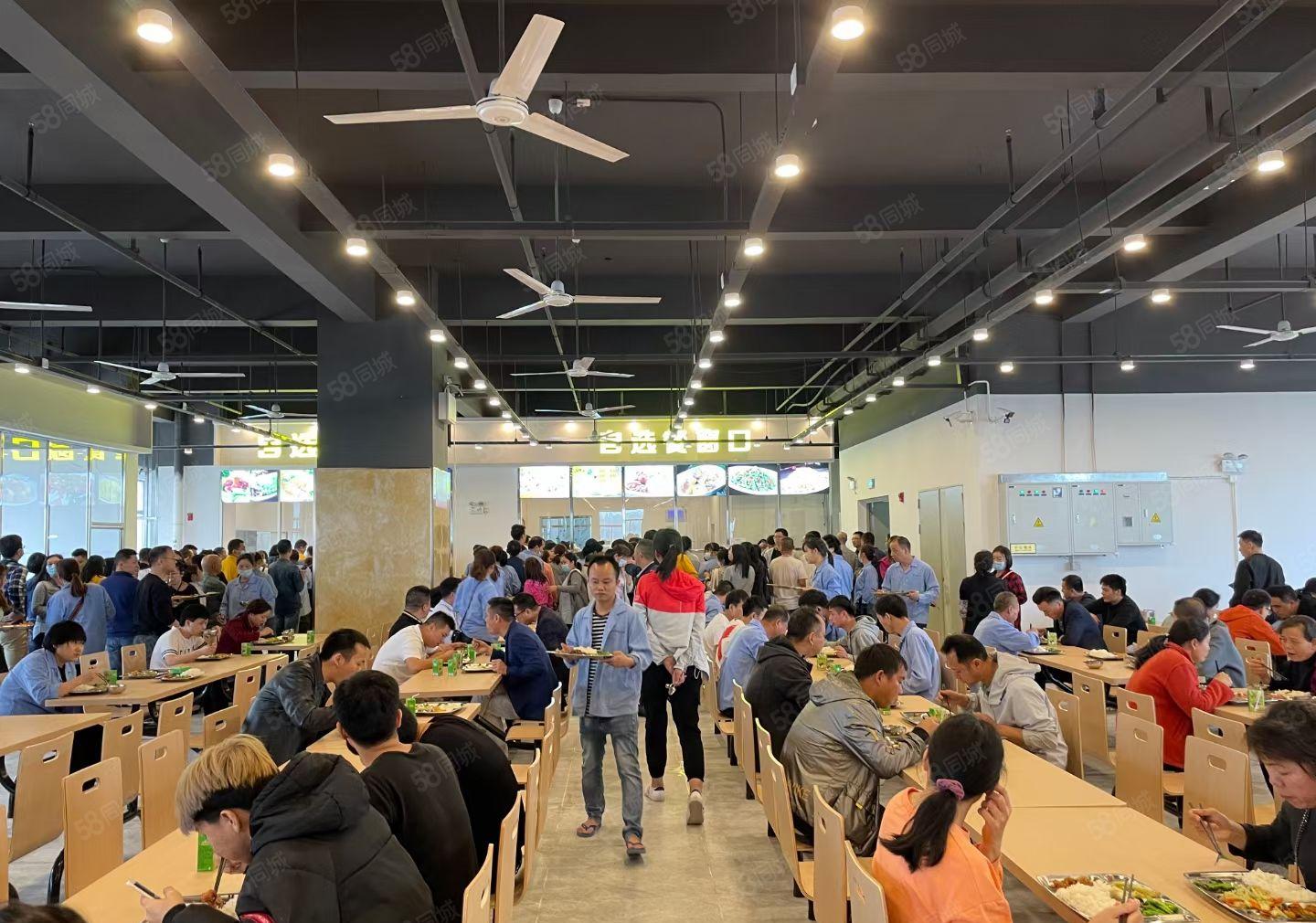 仲恺陈江镇东升村新建花园式厂房38万平方低价分租300起分