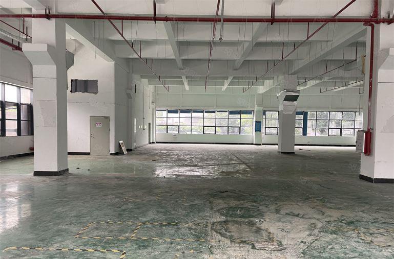 年关急租16块！单层2000平可分租500原房东直租带装修