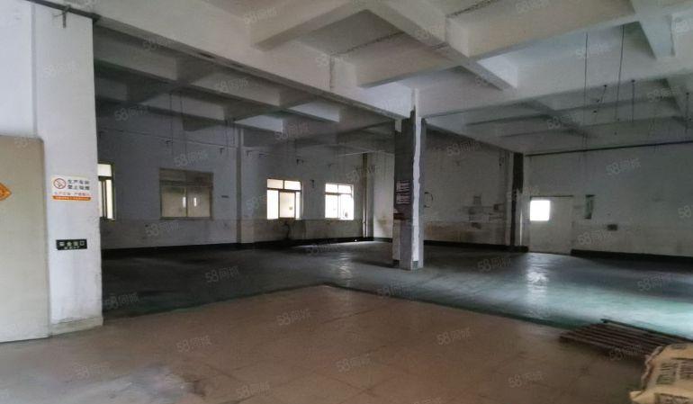 仲恺高速口一楼800平楼上1000平厂房出租200起分租电梯