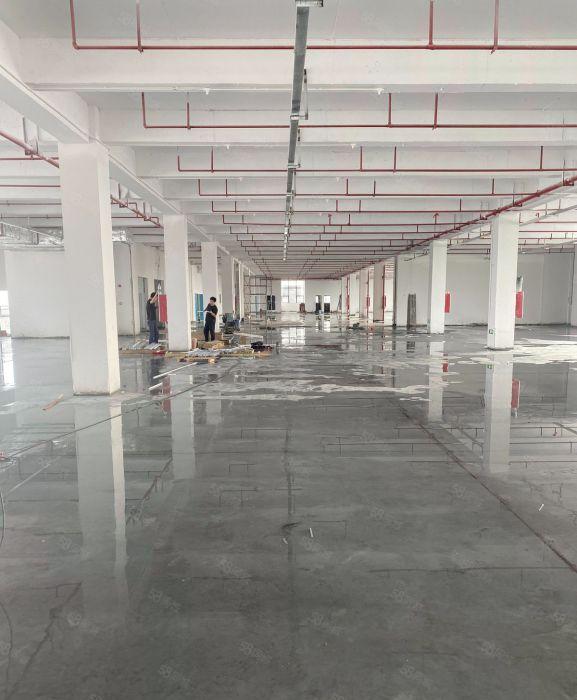 厂房出租仲恺中韩中创盈科6块厂房，优惠，便宜，实用