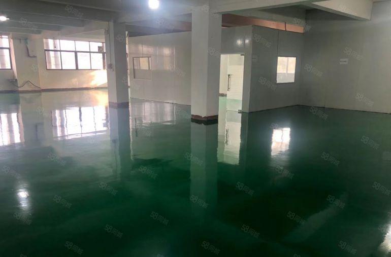 陈江标准厂房550平方带装修