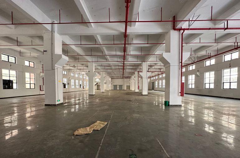 陈江平南原房东标准一楼7米高带牛角可分租500平方现房