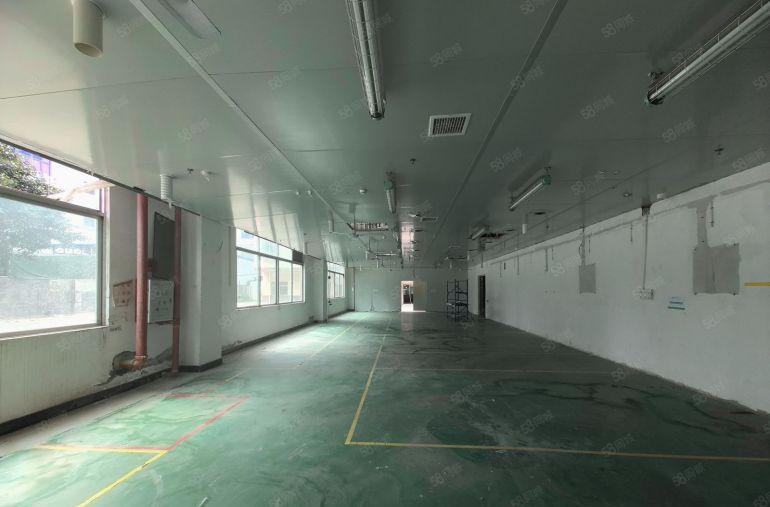 惠州仲恺独门独院精装修办公室吊顶动力主线，3900平厂房出租