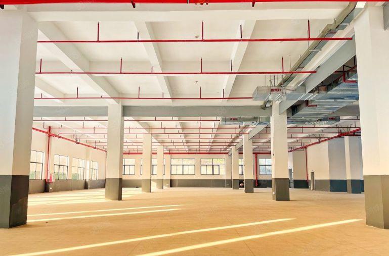 陈江原房东实际面积出租1500平急租仓库物流带装修