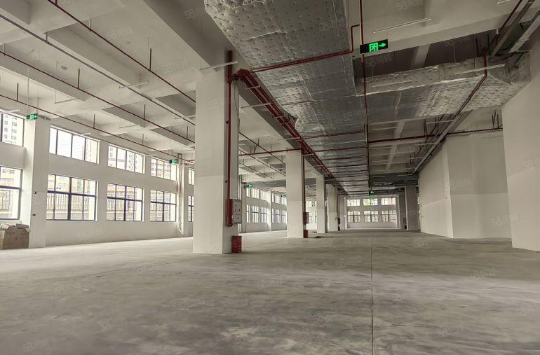 仲恺厂房原房东全新独栋7800平实际量厂房出租可分租电梯5吨