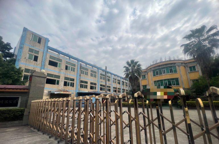 村委直租独门独院标准厂房有独立办公楼