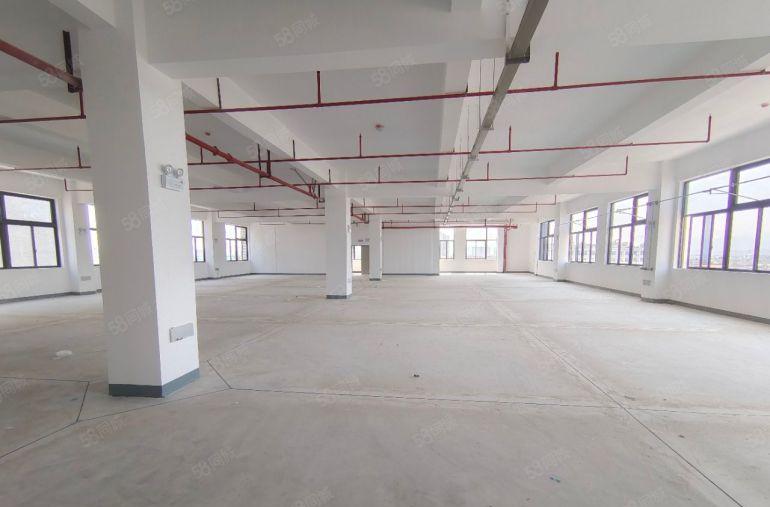 仲恺潼桥全新厂房低价出租 单层面积1680 可分租 10元起