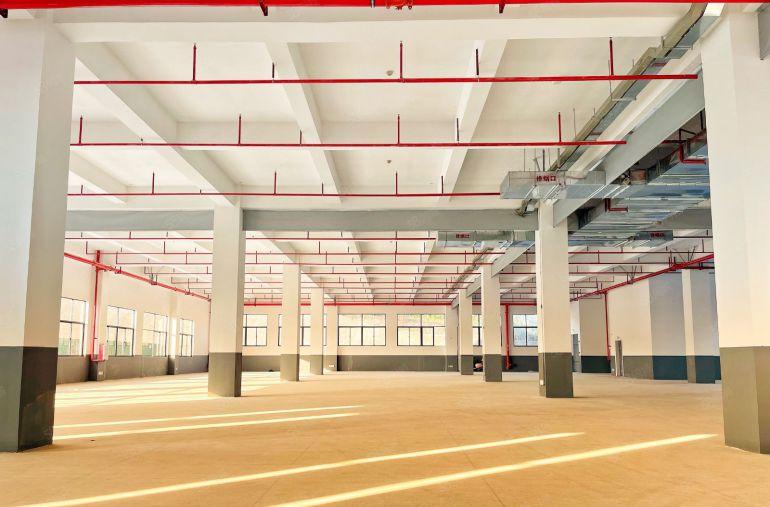 陈江带装修原房东急租特价11元，实际面积仓库全新