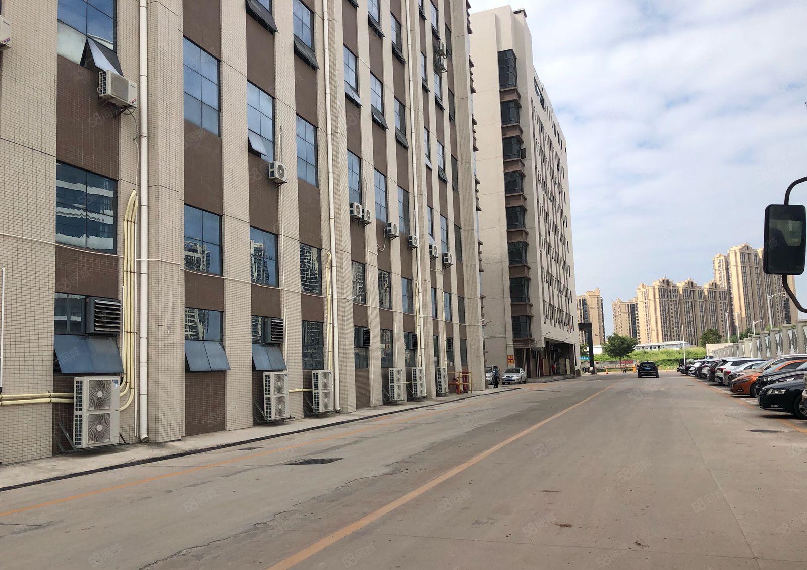 仲恺惠环全新红本厂房20394平方原房东直租接受半层分租