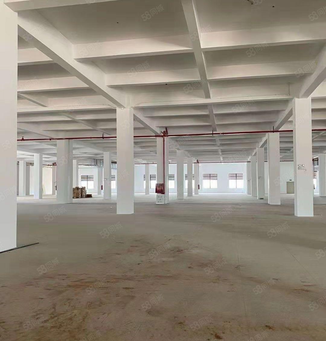 惠州仲深莞惠产业转移园，全新框架厂房，钢结构厂房