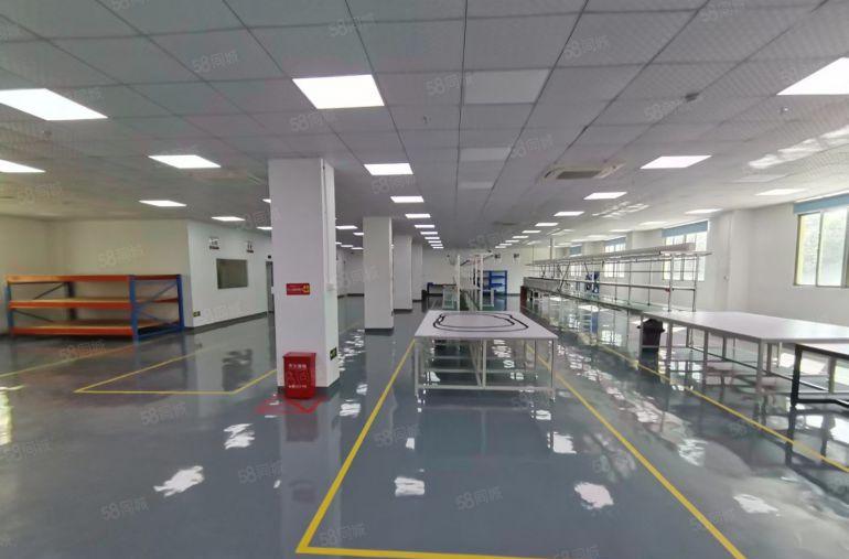 陈江五一工业区精装厂房1200平方可拎包入驻