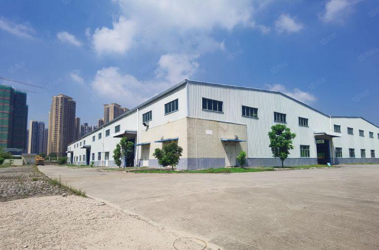 仲恺陈江原房东独门独院钢结构滴水九米空地超大7600低价出租