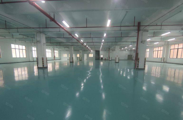 仲恺陈江楼上低价带装修4000平方厂房出租大小可分可办环评