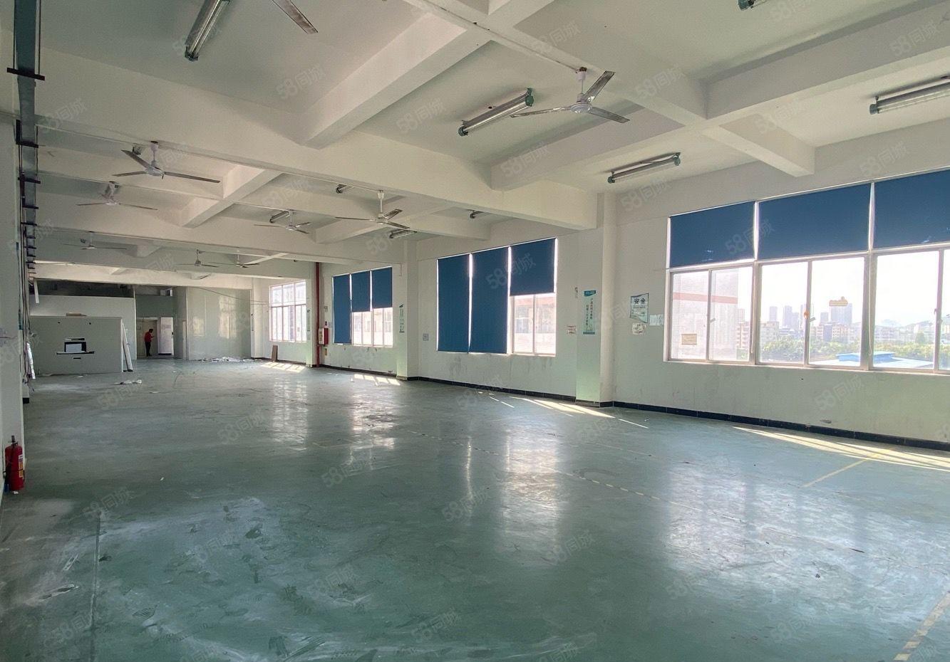 陈江工业区带装修550平楼上厂房出租