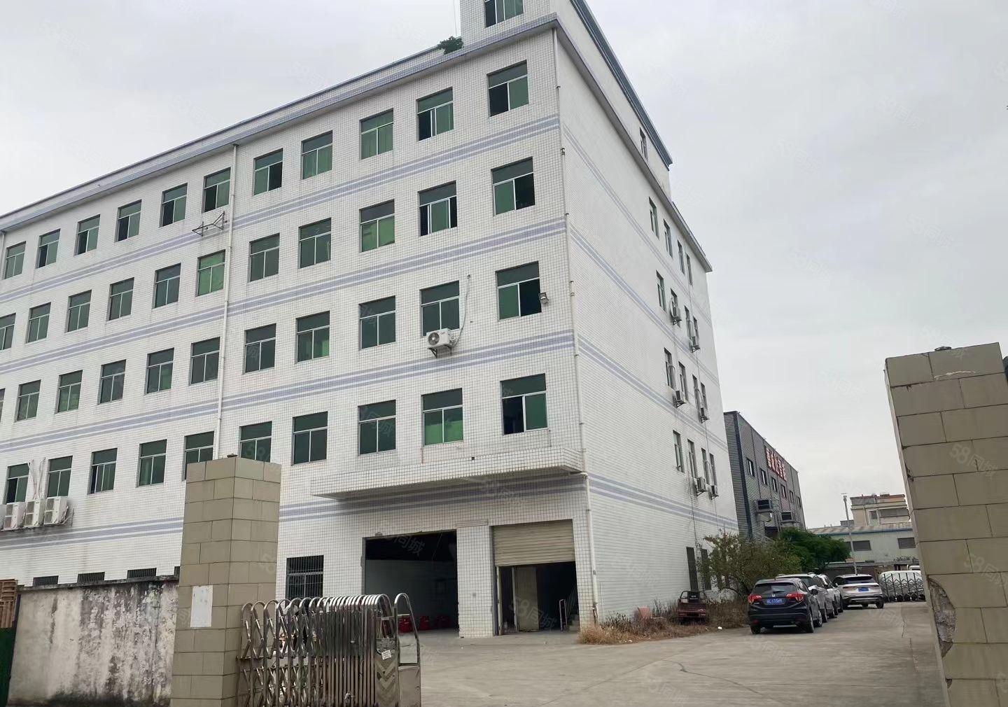 沥林独门独院标准厂房1800平方出租