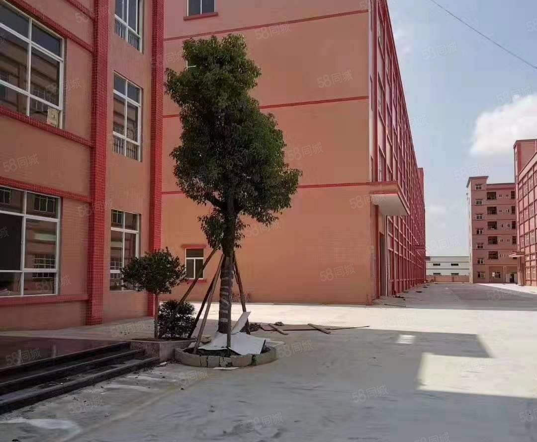 惠州市仲恺高新区原房东独门独院32000平方全新标准厂房招租