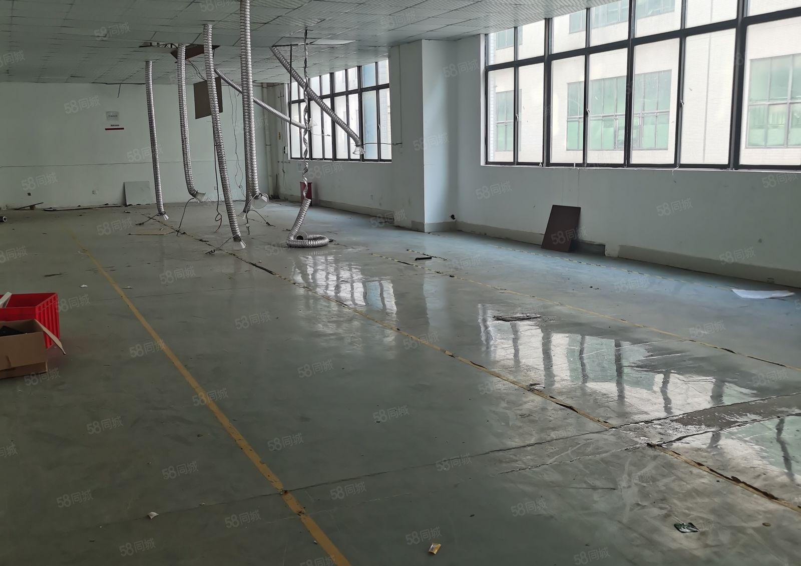 大型气派工业园三楼出租