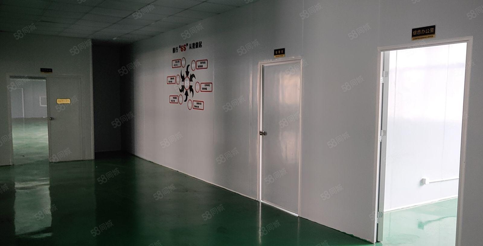 沥林超漂亮独院红本厂房2800平米可分租