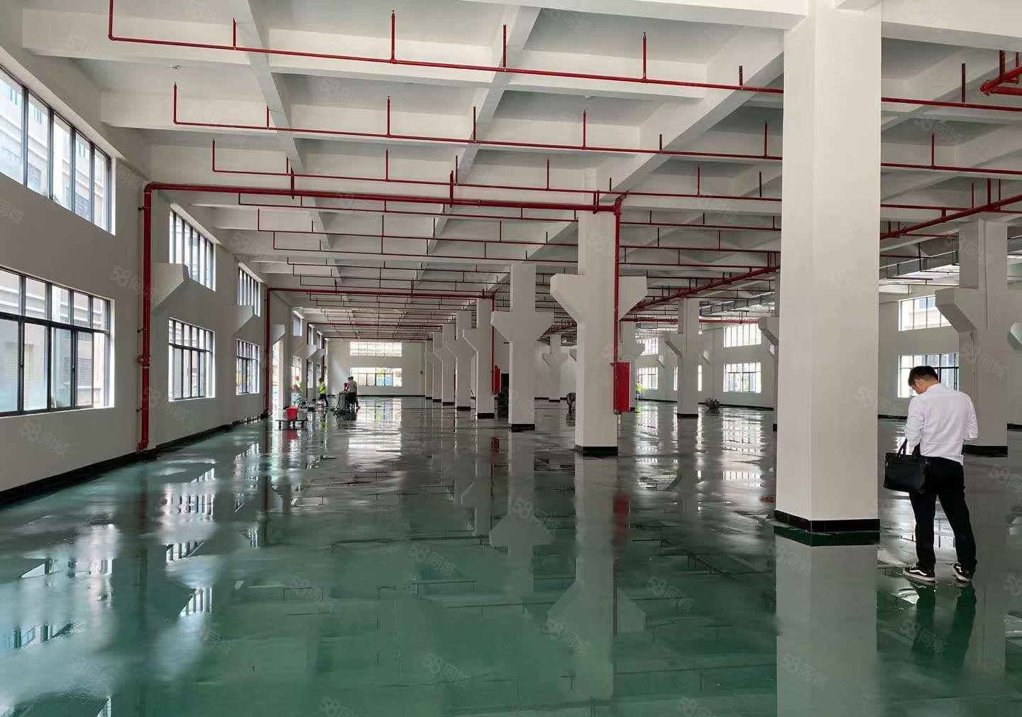 仲恺陈江原房东4万平方大型工业区厂房带红本出租