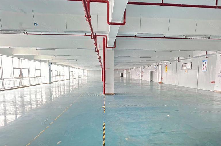 8元！仲恺高新区原房东精装修厂房仓库出租1500平方米