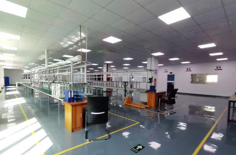 陈江五一工业区精装厂房1200平方可拎包入驻