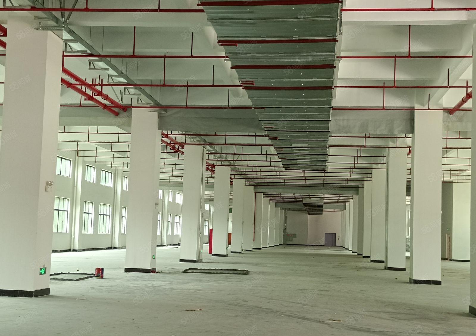 可分租！僮桥新出全新10万平方红本厂房出租！配套齐全，原房东